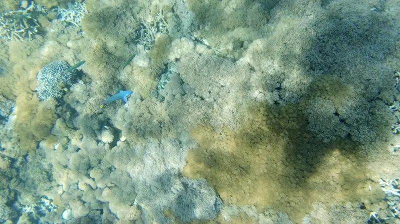 Clear water